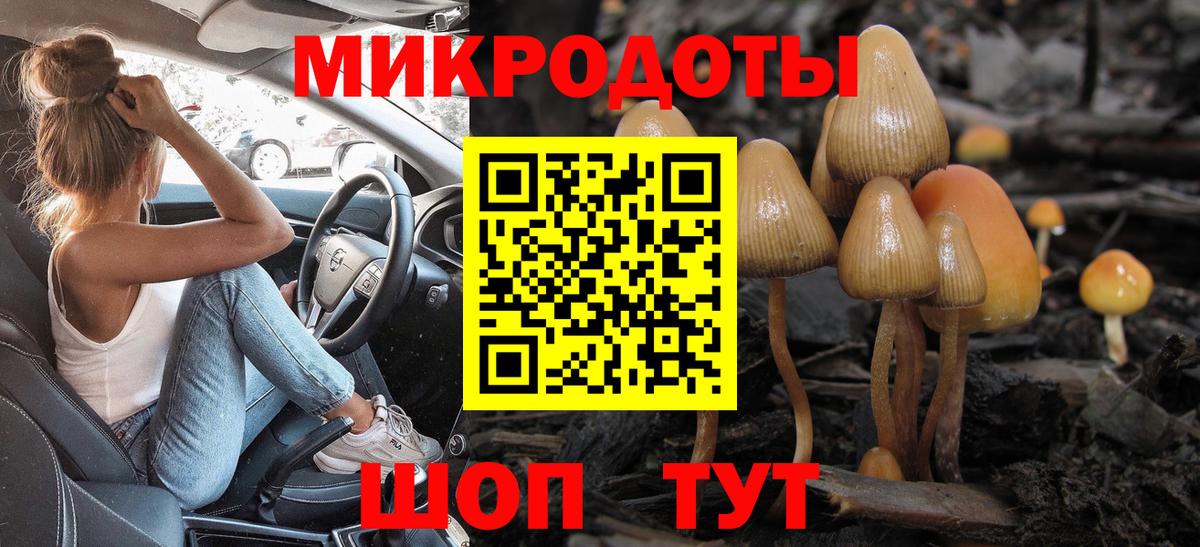 Псилоцибиновые грибы MAGIC MUSHROOMS  Псилоцибиновые грибы Magic Shrooms  Вход с VPN  Баксан 